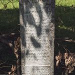 Споменик Јаћиму Богојевићу на гробљу у Гребачевићима, Стапари (фото Бојан Радојичић)