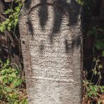 Споменик војнику на гробљу у Гребачевићима, Стапари (фото Бојан Радојичић)