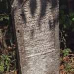 Споменик војнику на гробљу у Гребачевићима, Стапари (фото Бојан Радојичић)