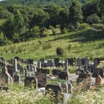 Гробље на потесу Пландиште у Стапарима (фото Бојан Радојичић)