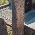Споменик Радосаву Мирковићу на гробљу на потесу Пландиште у Стапарима (фото Бојан Радојичић)