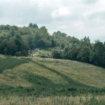 Гробље на Гредици у Волујцу (фото Бојан Радојичић)