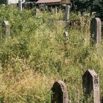 Гробље у Кнежевићима у Волујцу (фото Бојан Радојичић)