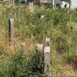 Гробље у Кнежевићима у Волујцу (фото Бојан Радојичић)