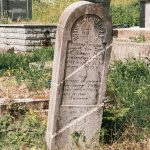 Споменик Вукосаву Челиковићу на гробљу у Кнежевићима у Волујцу (фото Бојан Радојичић)