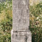 Споменик Божедару Кнежевићу на гробљу у Кнежевићима у Волујцу (фото Бојан Радојичић)