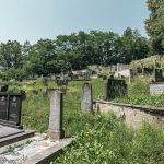 Филиповића гробље у Рибашевини (фото Бојан Радојичић)