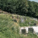 Филиповића гробље у Рибашевини (фото Бојан Радојичић)