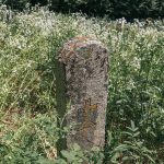 Споменик Радомиру Ивановићу на Филиповића гробљу у Рибашевини (фото Бојан Радојичић)