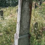 Споменик Велимиру Божићу на Филиповића гробљу у Рибашевини (фото Бојан Радојичић)