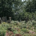 Јанковића гробље у Рибашевини (фото Бојан Радојичић)