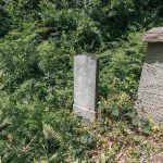 Споменик Матију Јанковићу на Јанковића гробљу у Рибашевини (фото Бојан Радојичић)