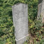 Споменик Матију Јанковићу на Јанковића гробљу у Рибашевини (фото Бојан Радојичић)