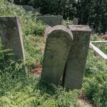 Споменик Радисаву Трифуновићу на Јанковића гробљу у Рибашевини (фото Бојан Радојичић)