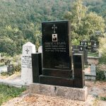 Споменик Павлу И. Вујићу на гробљу на Доварју у Ужицу (фото Бојан Радојичић)