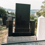 Споменик Павлу И. Вујићу на гробљу на Доварју у Ужицу (фото Бојан Радојичић)