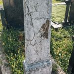 Споменик Тихомиру Ј. Ђоковићу на гробљу на потесу Доње њиве у Дубоком (фото Бојан Радојичић)