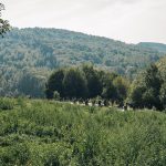 Гробље у Малом Дубоком (фото Бојан Радојичић)