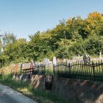 Гробље на Томановића гробљу у Дубоком (фото Бојан Радојичић)