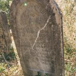 Споменик Радисаву Радојичићу на гробљу на потесу Ћуковци у Карану (фото Бојан Радојичић)