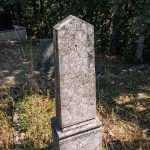 Споменик Стојану и Благоју Радојичићима на гробљу на потесу Ћуковци у Карану (фото Бојан Радојичић)