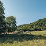 Гробље у Крвавцима (фото Бојан Радојичић)