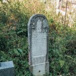 Споменик Спасоју Богићевићу на гробљу у Крвавцима (фото Бојан Радојичић)
