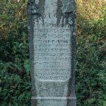 Споменик Спасоју Богићевићу на гробљу у Крвавцима (фото Бојан Радојичић)
