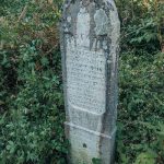 Споменик Спасоју Богићевићу на гробљу у Крвавцима (фото Бојан Радојичић)