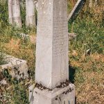 Споменик Чедомиру и Милораду Радовановићима на гробљу у Крвавцима (фото Бојан Радојичић)