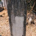 Споменик Добросаву Јевђовићу на гробљу у Крвавцима (фото Бојан Радојичић)
