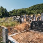 Споменик Николи Суботићу на гробљу у Крвавцима (фото Бојан Радојичић)