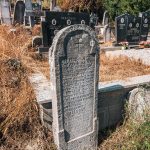 Споменик Николи Суботићу на гробљу у Крвавцима (фото Бојан Радојичић)