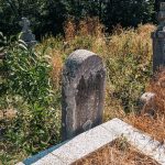 Споменик Николи Суботићу на гробљу у Крвавцима (фото Бојан Радојичић)