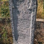 Споменик Милану Суботићу на гробљу у Крвавцима (фото Бојан Радојичић)