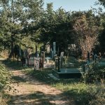 Гробље на потесу Орнице у Поточањима, Крвавци (фото Бојан Радојичић)