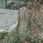 Споменик Чедомиру Љубојевићу на гробљу на потесу Орнице у Поточањима, Крвавци (фото Бојан Радојичић)