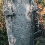 Споменик Недељку Миросављевићу на гробљу на потесу Ражиште у Каменици, Луново Село (фото Бојан Радојичић)