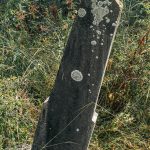 Споменик Драгомиру Милинковићу на гробљу код школе у Никојевићима (фото Бојан Радојичић)