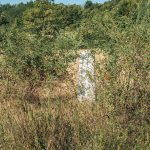 Крајпуташ Веселину Ћетковићу у Никојевићима (фото Бојан Радојичић)