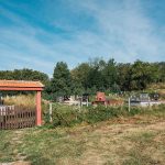 Гробље на потесу Долине у Рибашевини (фото Бојан Радојичић)
