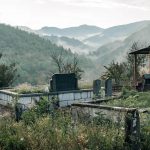 Гробље на потесу Ковачевина, Скржути (фото Бојан Радојичић)