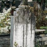 Споменик Јеремији Вранићу на гробљу на потесу Ковачевина, Скржути (фото Бојан Радојичић)