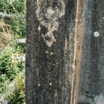 Споменик Обрену Игњатовићу на гробљу на потесу Ковачевина, Скржути (фото Бојан Радојичић)