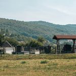 Гробље на потесу Страна, у Скржутима (фото Бојан Радојичић)