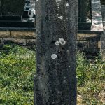 Споменик Радмилу Савићу на гробљу на потесу Страна у Скржутима (фото Бојан Радојичић)