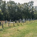 Гробље на Драшковића брду у Трнави (фото Бојан Радојичић)