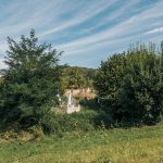Гробље у Костићима у Трнави (фото Бојан Радојичић)