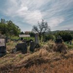 Гробље у Костићима у Трнави (фото Бојан Радојичић)