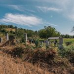 Гробље у Костићима у Трнави (фото Бојан Радојичић)